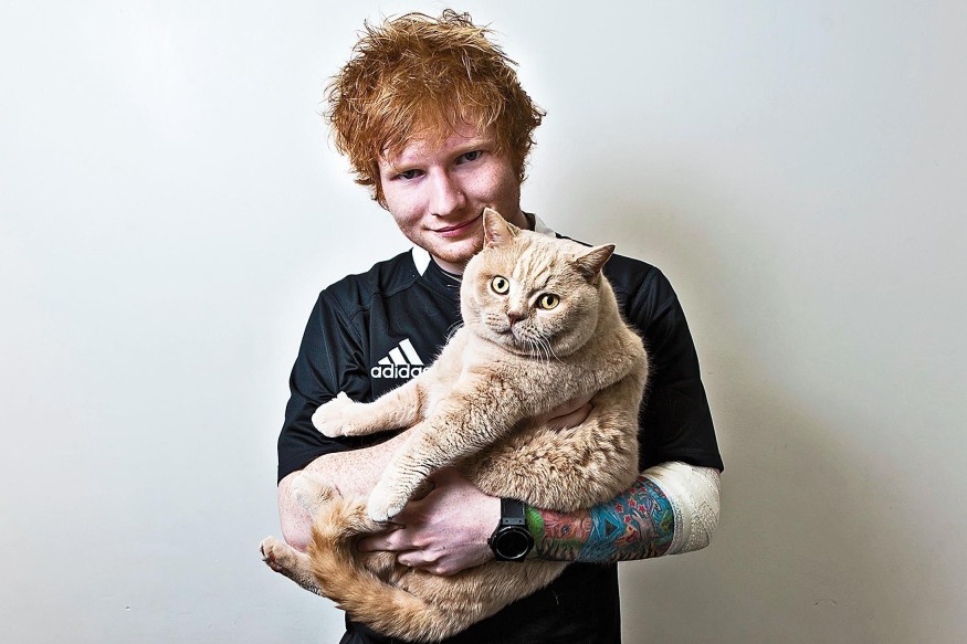 Madame Tussauds accueille Ed Sheeran!