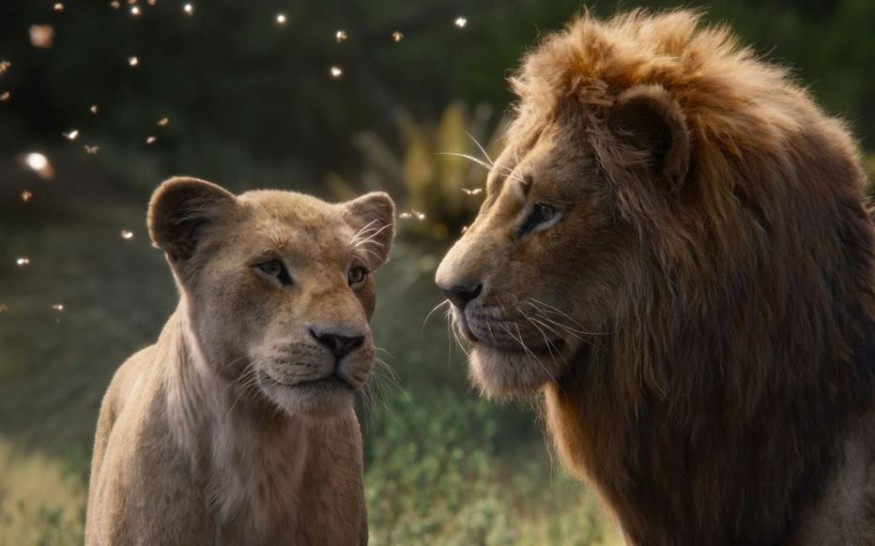 Un nouveau record pour le Roi Lion !