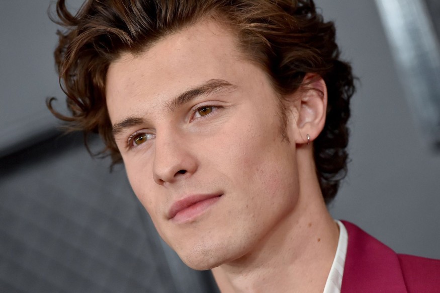 Shawn Mendes a créé une guitare pour une levée de fonds