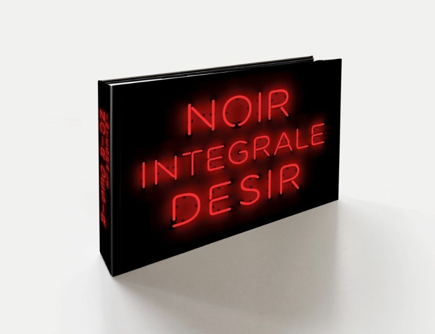 Noir Désir: une intégrale contenant un inédit avec Bashung sortira le 4 décembre !