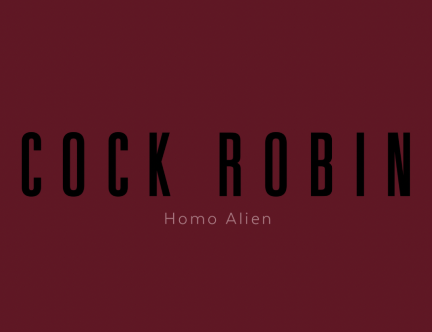 Cock Robin: le nouvel album «Homo Alien» sortira le 17 septembre