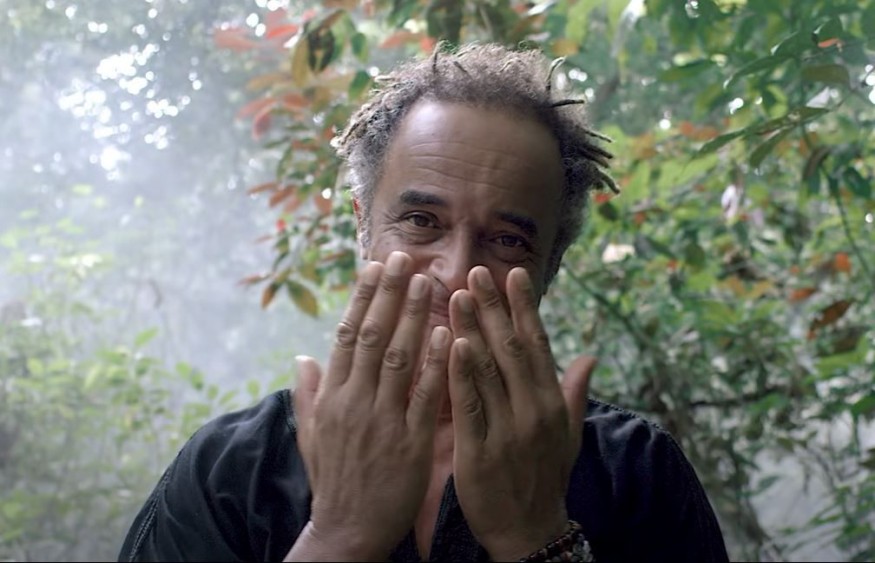 Yannick Noah: découvrez son nouveau single « Back To Africa »