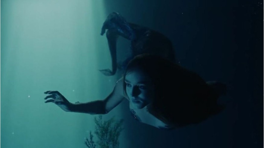 Birdy: découvrez le clip de «Wild Horses»