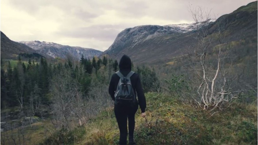 Alan Walker : découvrez son nouveau single «Alone»