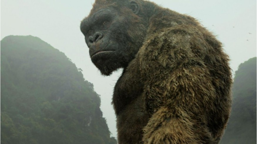 Box Office France : le nouveau «King Kong» très costaud