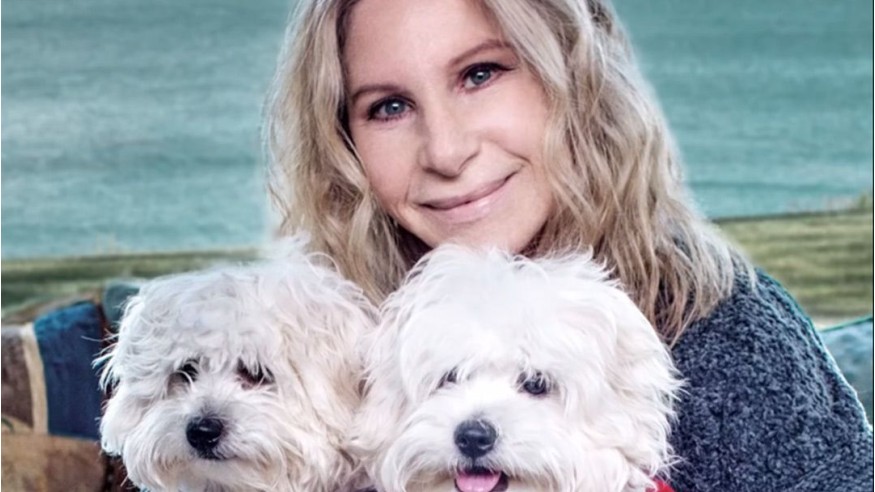 Barbra Streisand a cloné deux fois sa chienne