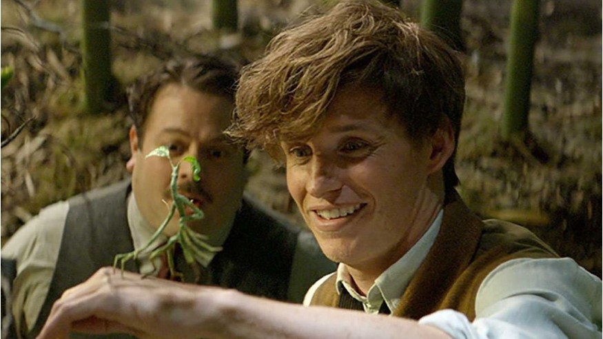Box-office mondial : «Les Animaux Fantastiques : Les crimes de Grindelwald» domine le classement !