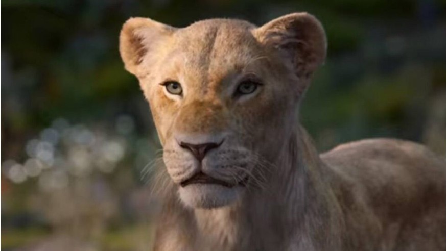Le Roi Lion : un nouveau trailer avec la voix de Beyoncé